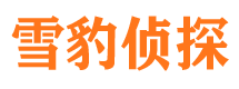 南长寻人公司